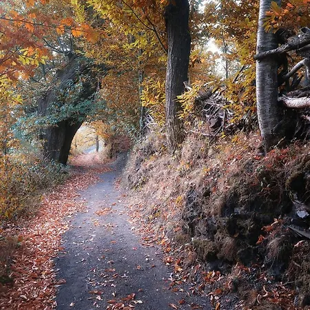 Alpesi faház Casa O Filandon *