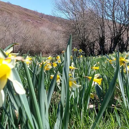 Casa O Filandon Alpesi faház