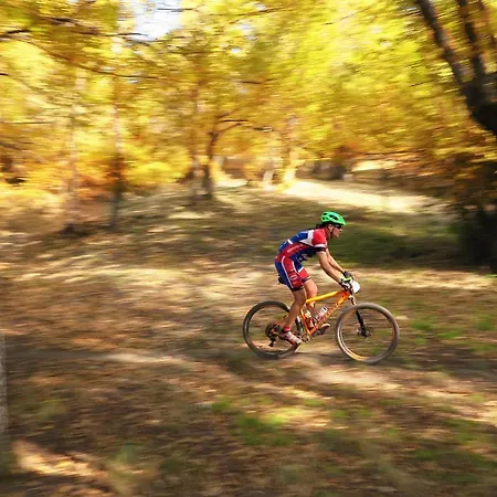 Alpesi faház Casa O Filandon