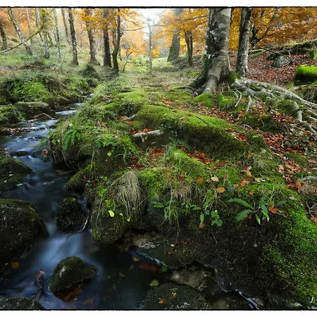 Casa O Filandon * Suertes