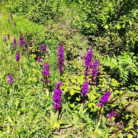 Casa O Filandon Alpesi faház