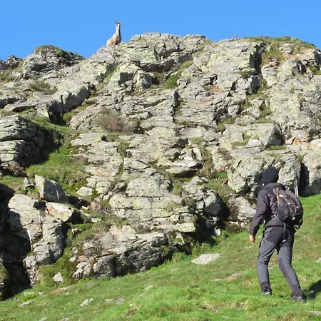 Alpesi faház Casa O Filandon