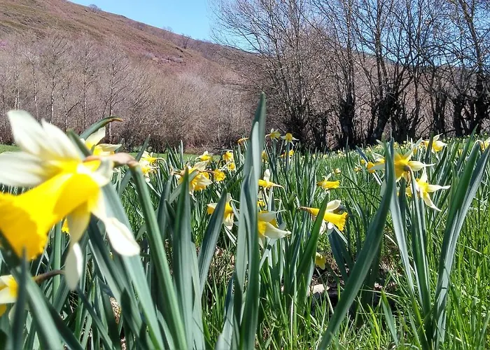 Casa O Filandon 샬레