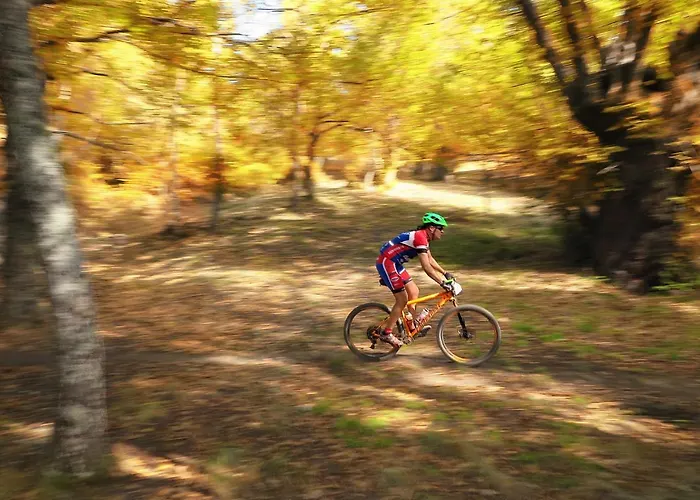 샬레 Casa O Filandon