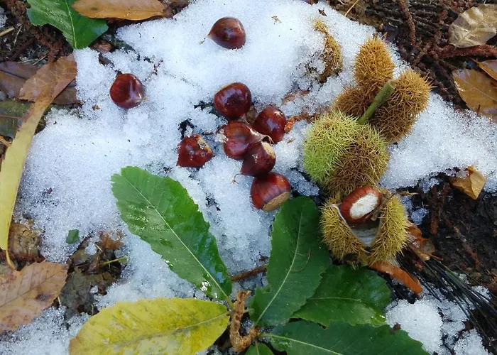 샬레 Casa O Filandon Suertes