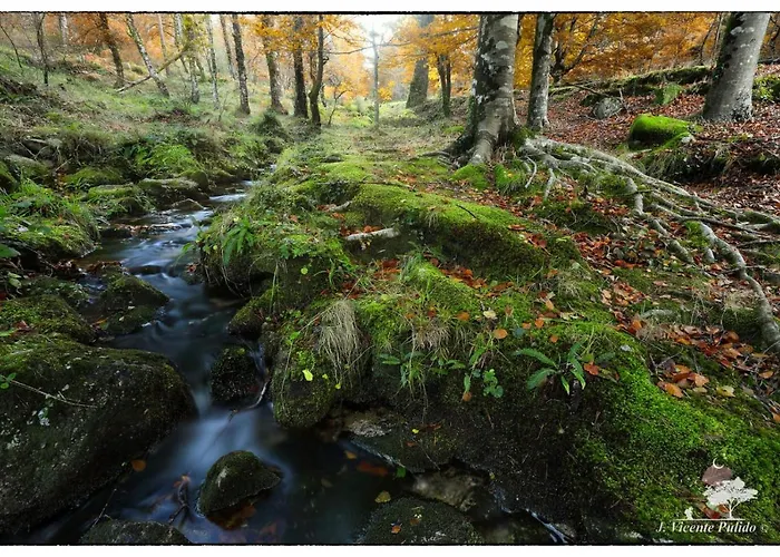 Casa O Filandon * Suertes