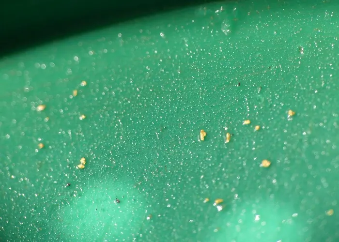 Casa O Filandon 샬레 *