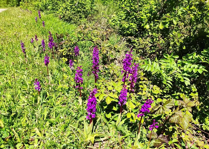 Casa O Filandon 샬레